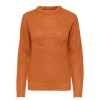 Overdele JDY | Jdylenette L/S O-Neck Pullover Knt Burnt Orange