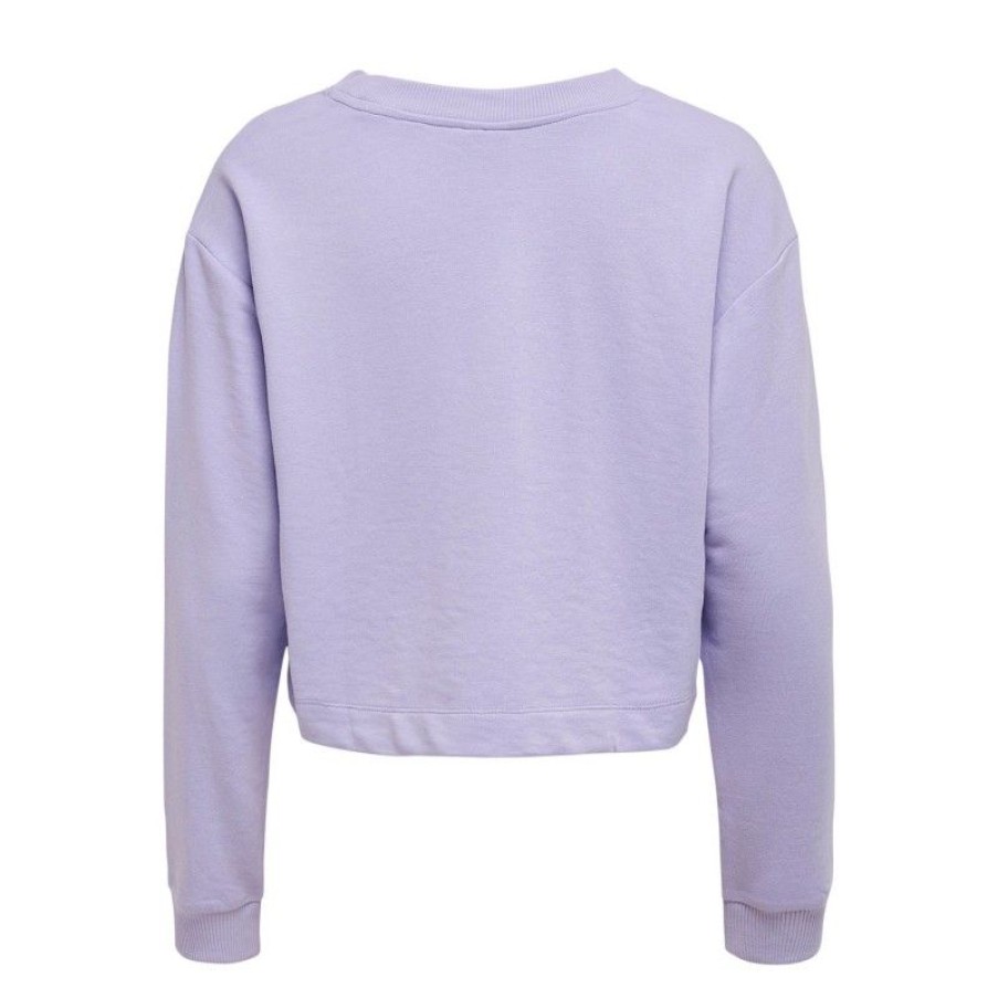 Overdele JDY | Jdyasa Life L/S Print Sweat Jrs Lavender Paris