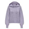 Overdele JDY | Jdybetsy L/S Hood Pullover Knt Violet Tulip Melange